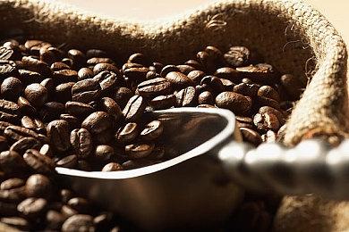 《生化危机：代号维罗妮卡》重制版爆料 可操控新角色